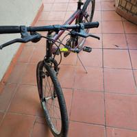 Bicletta da sistemare