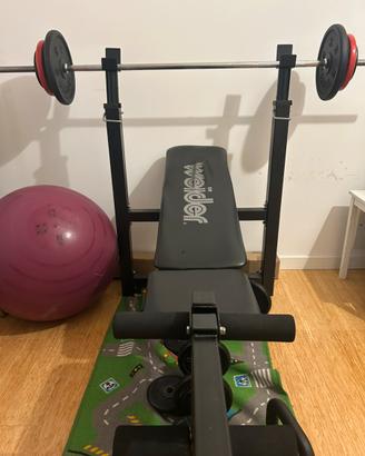 Panca palestra regolabile