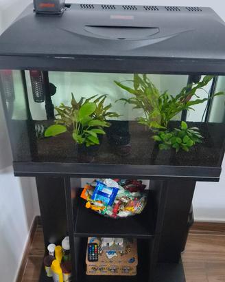 Acquario completo