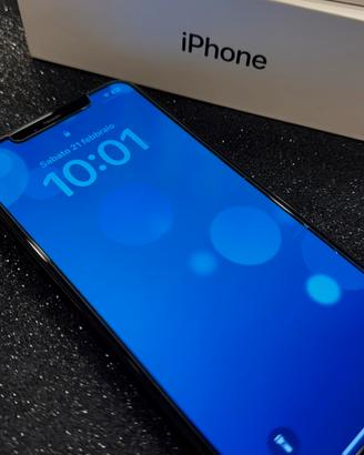 I PHONE 11 pro MAX