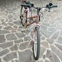 Mountain bike