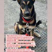 Divina Desidera Casa