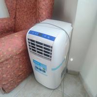 Olimpia Splendid Dolceclima compact