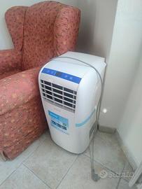 Olimpia Splendid Dolceclima compact