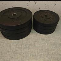 Pesi a Disco Lineaflex più manubri 