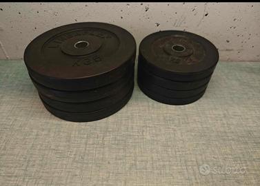 Pesi a Disco Lineaflex più manubri 