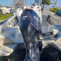 Evinrude E tec 75