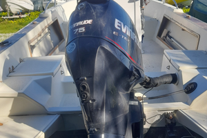 Evinrude E tec 75