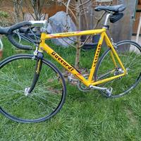 bici bianchi e daccordi