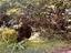 Immagine 23