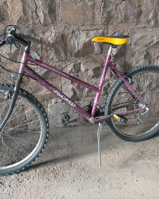 bici mountainbike 26 Mountain bike cambio Shimano