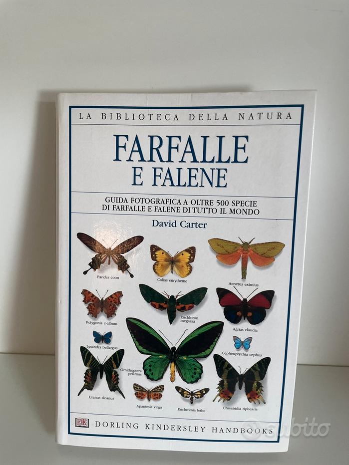 libro FARFALLE E FALENE - Libri e Riviste In vendita a Firenze