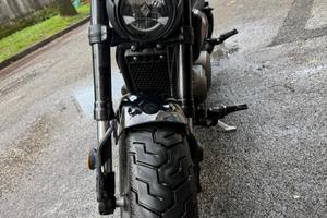 Benda Motorcycles Chinchilla 500 - 2025