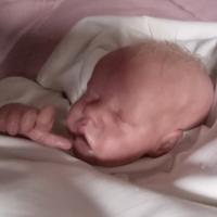 Reborn doll 