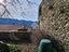 Immagine 16