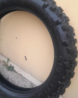 R.E.G.A.L.O gomme datate