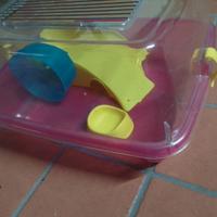 Gabbietta per criceti