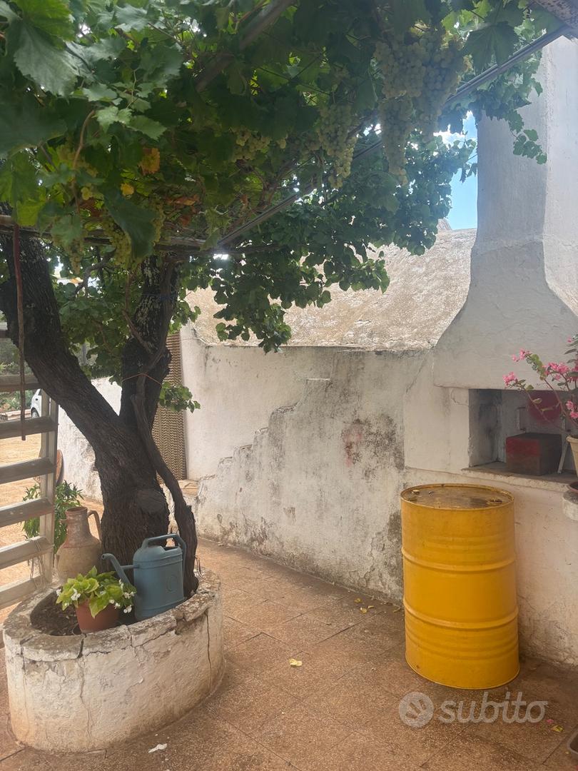 Trullo da restaurare - Vista 2