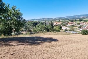 Terreno edificabile panoramico con bosco