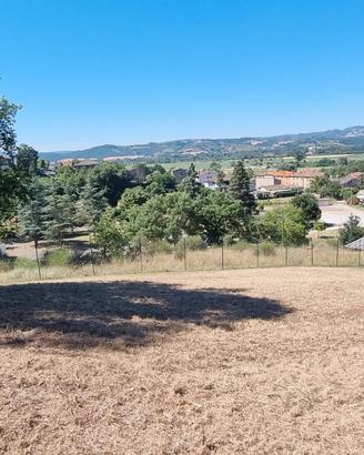 Terreno edificabile panoramico con bosco
