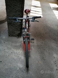 bicicletta bambino