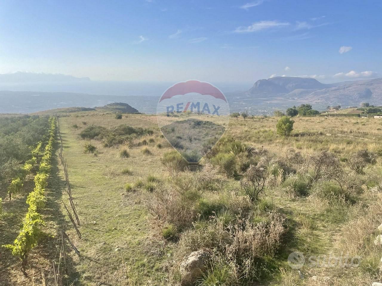 Terreno Edificabile - Borgetto - Vista 3