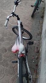 Bicicletta Bottecchia bimbo
