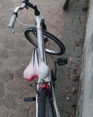 Bicicletta Bottecchia bimbo
