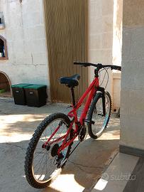 Mountain bike 