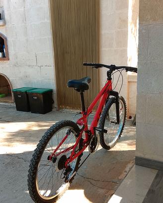 Mountain bike 