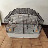 gabbia grande con divisorio x 2 coppie 