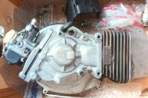 ricambi malossi piaggio ciao bravo si