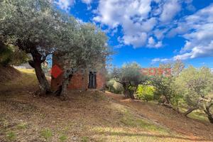 Terreno Agricolo Pace del Mela [#prof422VCG]
