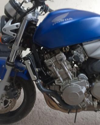 Hornet 600 cc