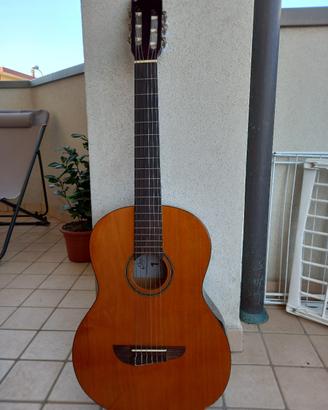 Chitarra acustica Eko