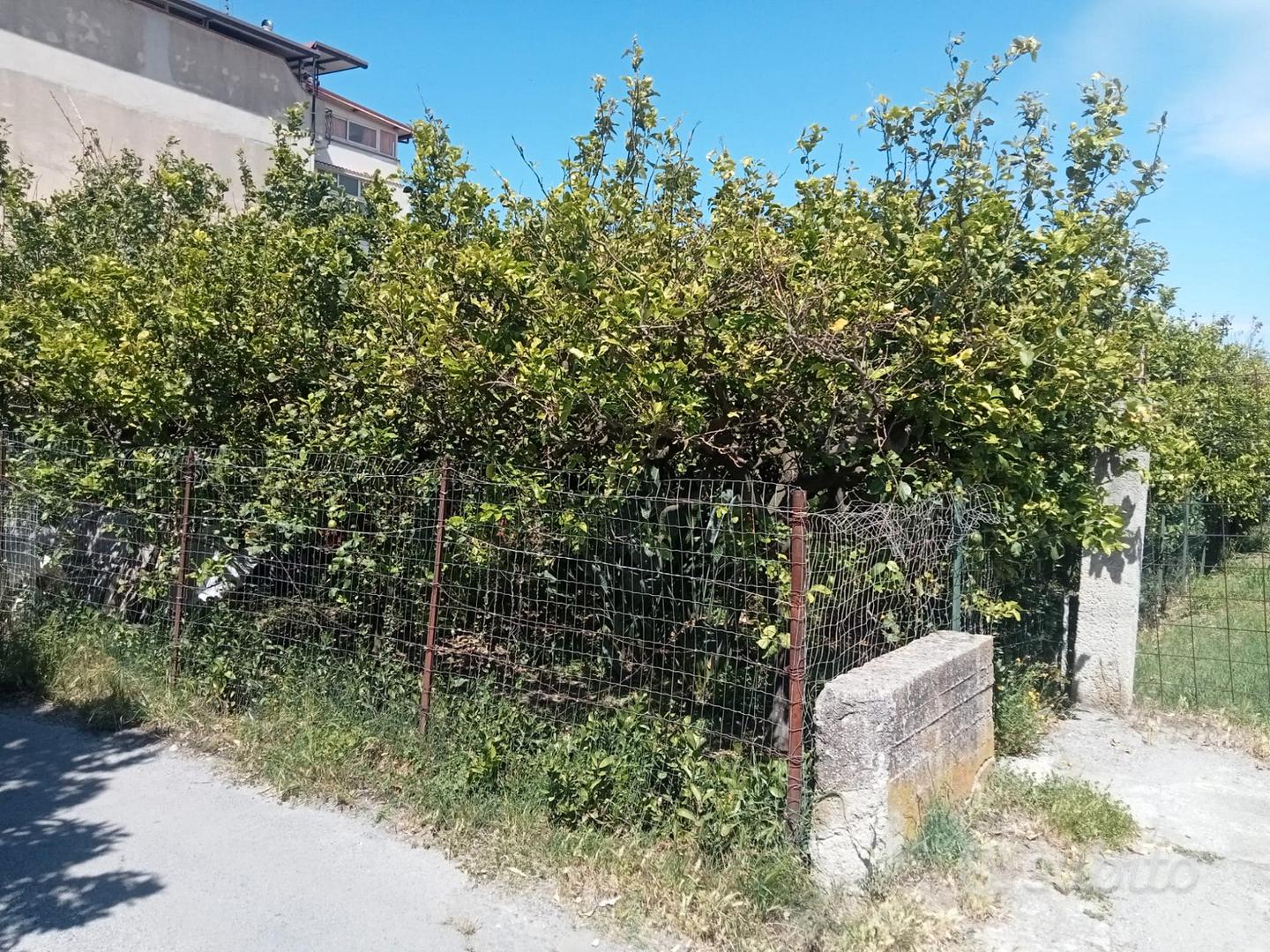 Terreno agricolo - Vista 5