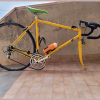 Bici corsa Daccordi modello Original