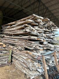 Noce bianca europea al mc