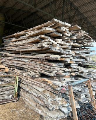 Noce bianca europea al mc