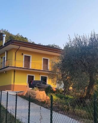 Immobile indipendente con corte