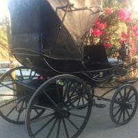 Carrozza d'epoca 1863