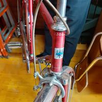 bicicletta da passeggio