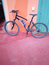 bici montebike 