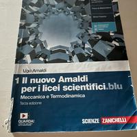 Libro di fisica Il Nuovo Amaldi