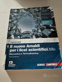 Libro di fisica Il Nuovo Amaldi