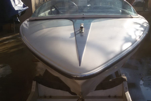 Barca con Motore johnson 25 cavalli