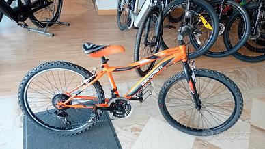 MTB 24 POLLICI USATA