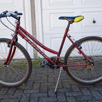 Mountain Bike donna