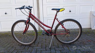 Mountain Bike donna