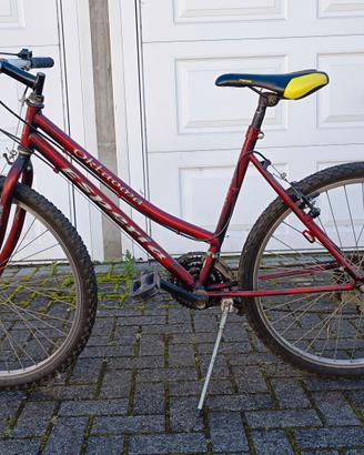 Mountain Bike donna